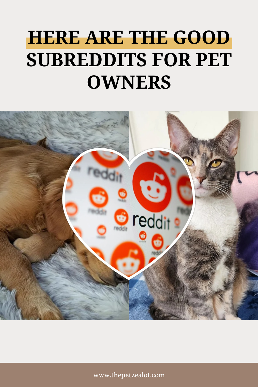 Subreddits For Pet Owners